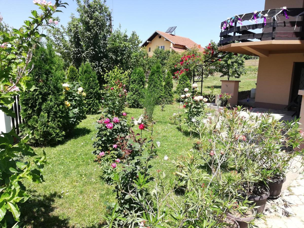Apartmani Tvins Soko Banja Exterior photo