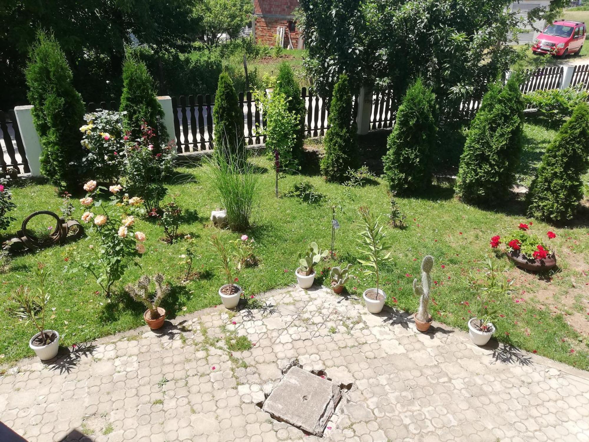 Apartmani Tvins Soko Banja Exterior photo